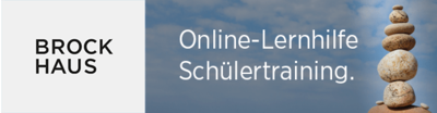 brockhaus lernhilfe-schuelertraining